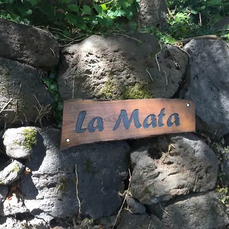 Mas La Mata *