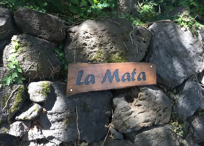 Mas La Mata *